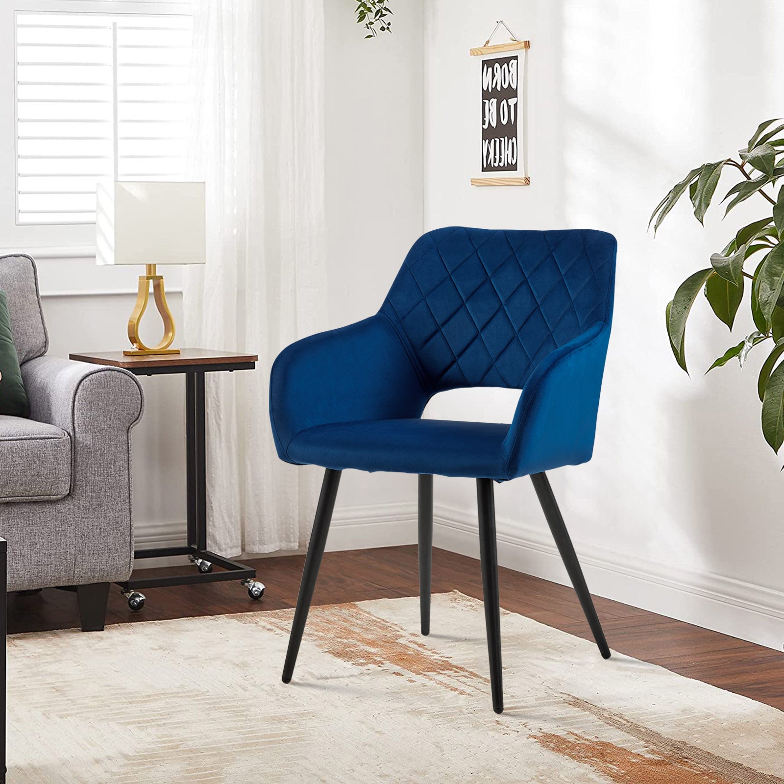 Kieran Velvet Dining Chairs [Set of 2]-6
