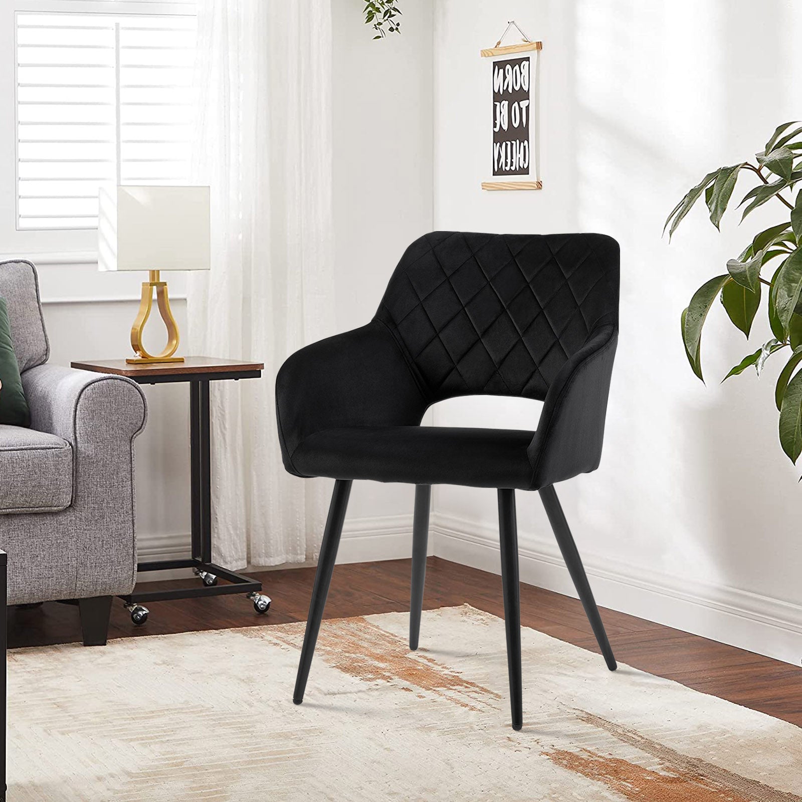 Kieran Velvet Dining Chairs [Set of 2]-8