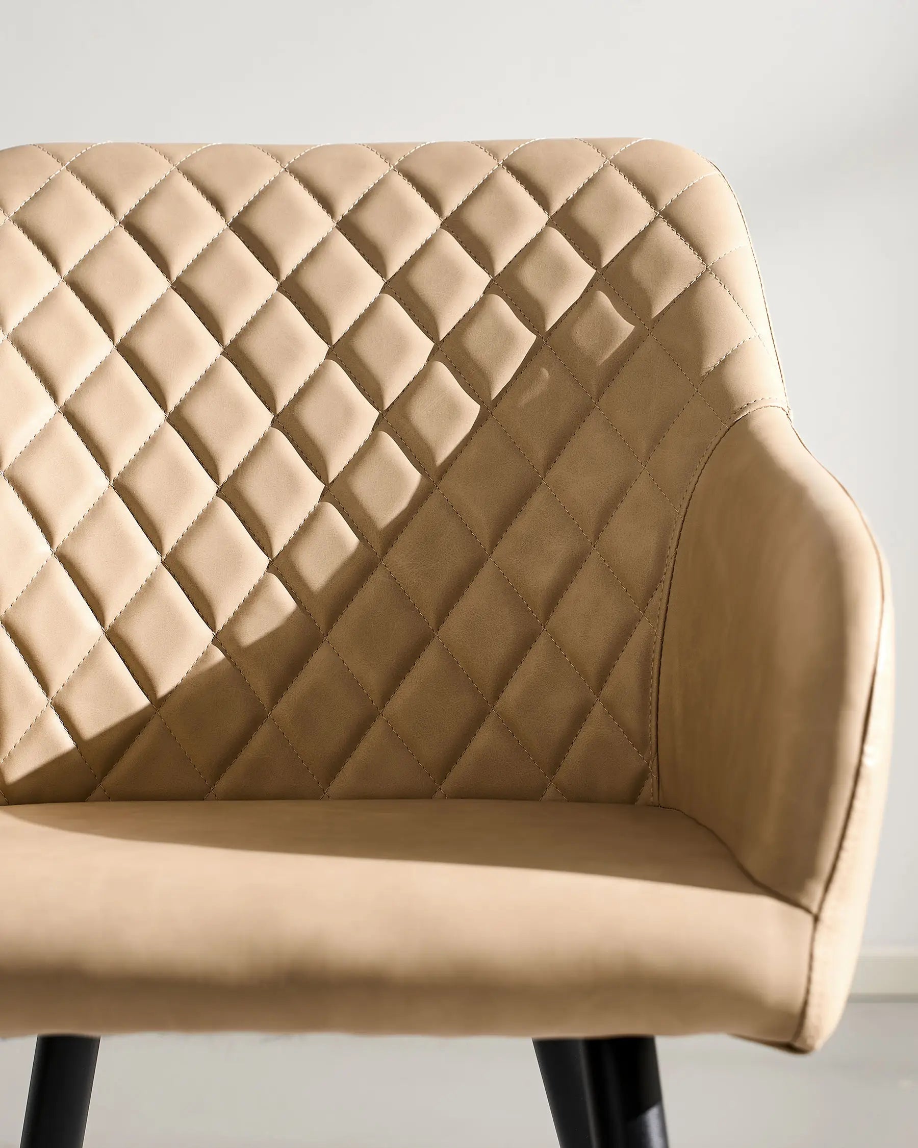 Moree Faux Leather Dining Chairs [Set of 6]-3