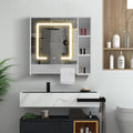 Tavion Bathroom Mirror Cabinet with Lights [1 Door+3 Shelves]-0