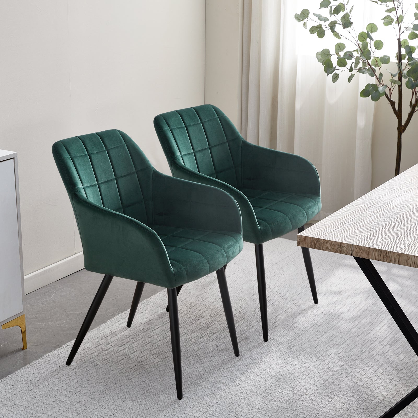 Bloor Velvet Dining Chairs [Set of 2]-6